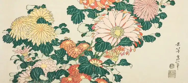 chrysanthemums